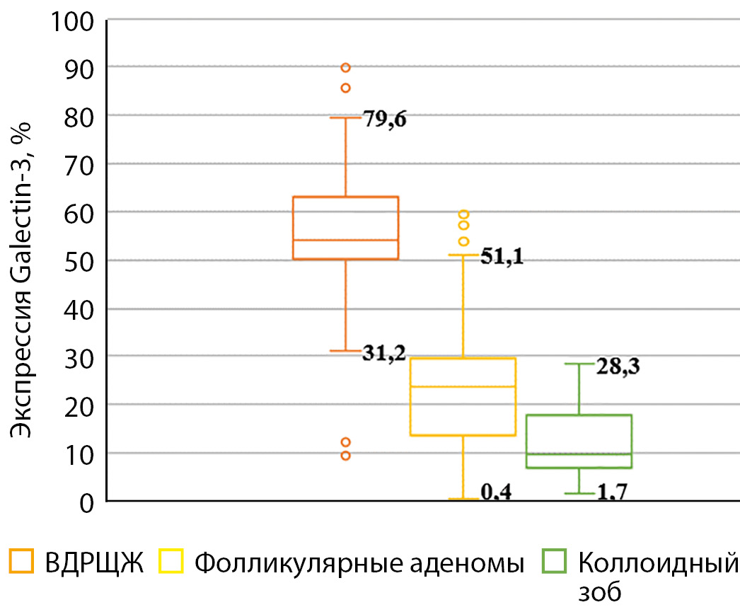 Изображение на обложке